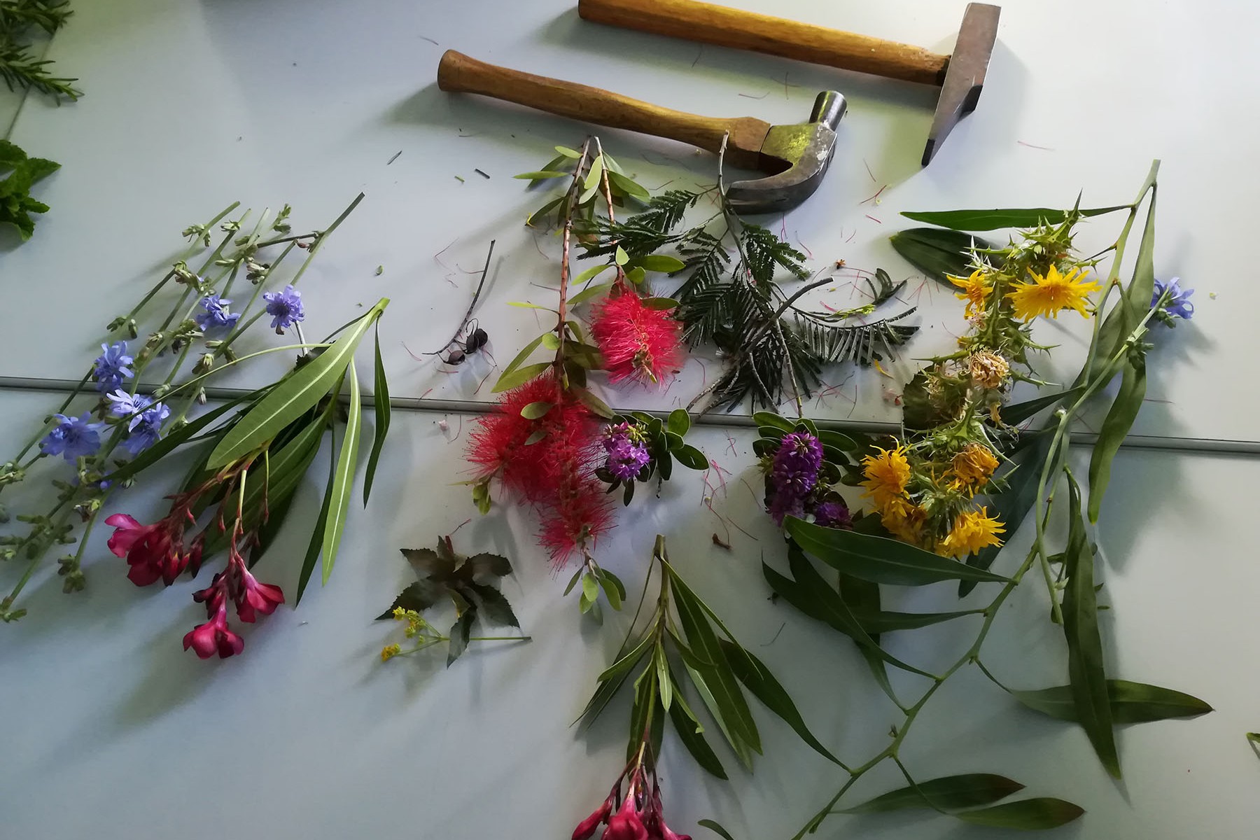 Arte Central - Educação Ambiental pela Arte